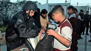 Las inspecciones, de carácter voluntario, no estarán a cargo de la policía, sino de los padres de familia y organizaciones civiles