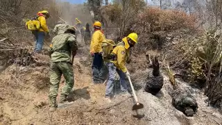 Brigadistas continúan liquidando el fuego