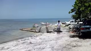 Interceptan en mar de Campeche a pescadores de Celestún con 300 kilos de pulpo maya en veda