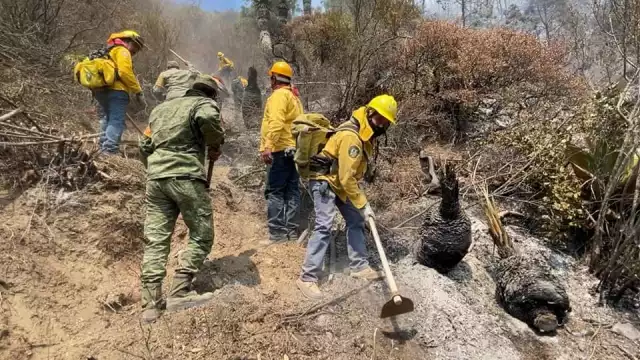 Brigadistas continúan liquidando el fuego