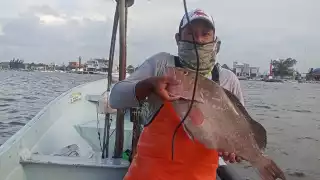 Biosfera Ría Lagartos, un tesoro marino: detectan importante diversidad de peces de alto valor ecológico y económico