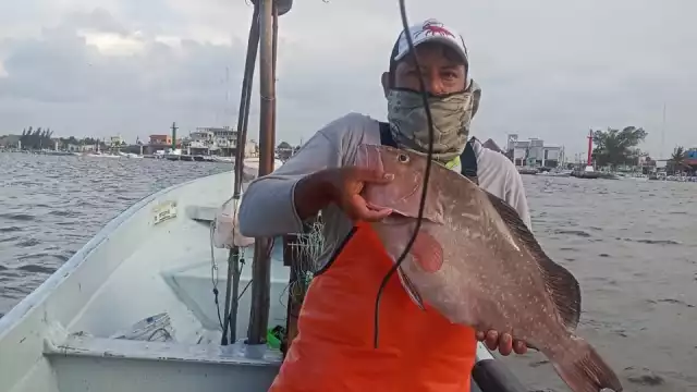 En esta parte del estado existe una valiosa diversidad de peces de alto valor ecológico y económico