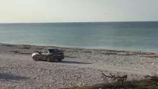 Multas de más de 4 MDP por conducir en playas de anidación de tortugas en Yucatán