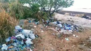 Pese a las acciones de limpieza, a la ciudadanía no le importa dejar sus desperdicios en una zona tan pequeña