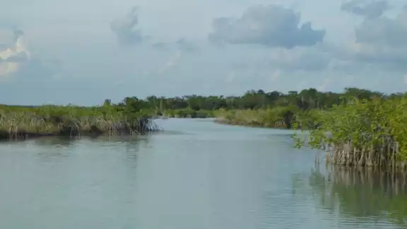 Advierten a los compradores de estos predios en todo el estado a no caer en este negocio millonario Advierten a los compradores de estos predios en todo el estado a no caer en este negocio millonario
