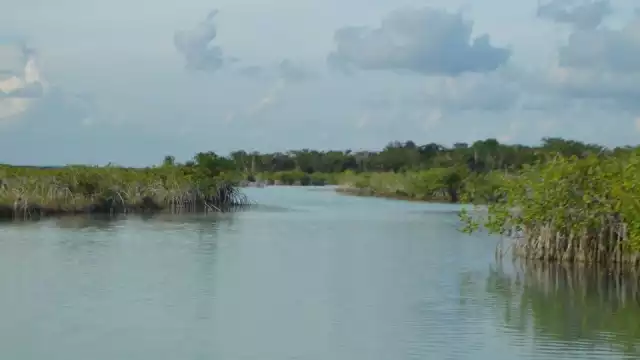 Advierten a los compradores de estos predios en todo el estado a no caer en este negocio millonario