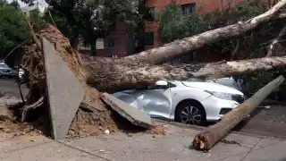 Los fuertes vientos seguirán en la CDMX en las próximas horas