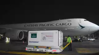 Este es el avión que trajo el embarque