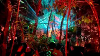 Muchos de los eventos, principalmente en Tulum, se realizan en la selva o sitios de difícil acceso, donde participan cientos de personas sin cumplimiento de las medidas sanitarias