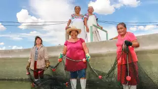 La disponibilidad de peces se está estancando; no ha habido aumento, sólo bajas