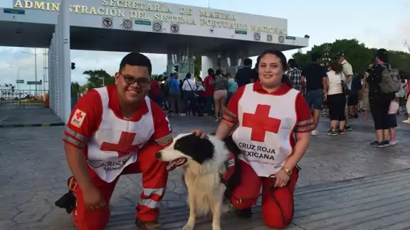 Dusty es una perra rescatista del mar de la raza Border Collie
