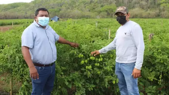 Raul Romero brindará más programas y créditos a productores Raul Romero brindará más programas y créditos a productores