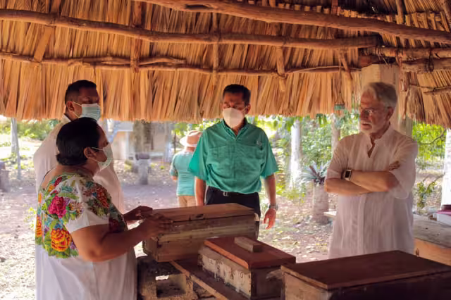 Las lugareñas presentaron el ritual ancestral con las abejas en el meliponario