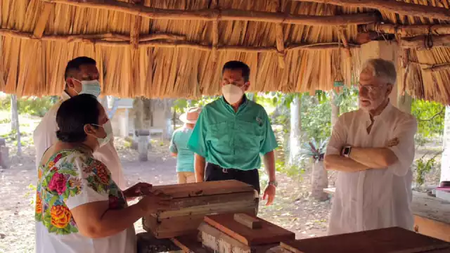 Las lugareñas presentaron el ritual ancestral con las abejas en el meliponario