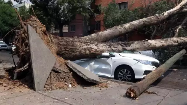Los fuertes vientos seguirán en la CDMX en las próximas horas