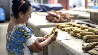 Al día, 33 mujeres son violentadas en Mérida