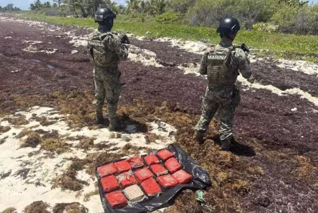Efectivos de la Infantería de Marina detectaron envoltorios sospechosos durante un operativo