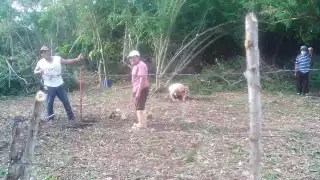 Comisariado ejidal demostró que la parcela 1146 pertenece al ejido