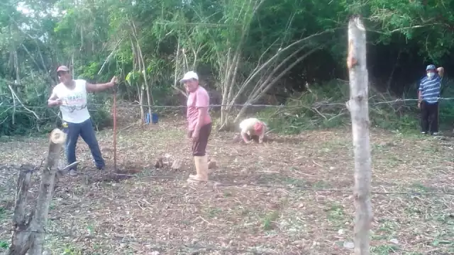 Comisariado ejidal demostró que la parcela 1146 pertenece al ejido