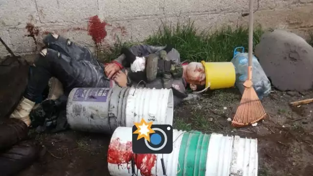 El monito araña murió sobre el cuerpo de un sujeto también abatido. Foto: Twitter