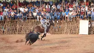 Palqueros y diputados de feria aseguran que esta rotundamente prohibido realizar ese tipo de eventos en el coso taurino, afirman no promover el maltrato animal
