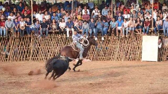 Palqueros y diputados de feria aseguran que esta rotundamente prohibido realizar ese tipo de eventos en el coso taurino, afirman no promover el maltrato animal