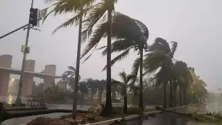 Los vientos dependen de la intensidad del ciclón, que a través de la Escala Saffir-Simpson, se asignan categorías a los fenómenos meteorológicos