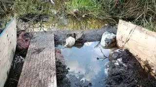 Nueva alerta de huachicoleo en Atasta: vecinos descubren conexión peligrosa   