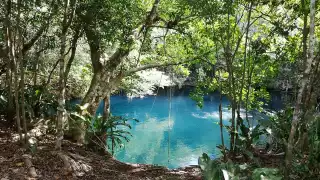 Dentro de este cenote, se esconde una belleza submarina