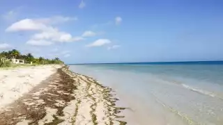 San Crisanto, el edén de la costa yucateca