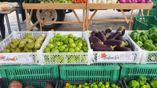 Proveedores de frutas y verduras, los más afectados