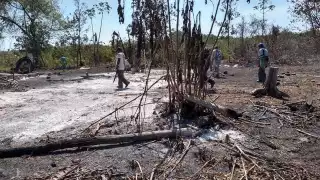 Productores de Tizimín piden hacer uso responsable de las quemas agrícolas