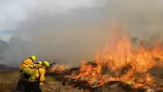 En 2022, fueron más de mil hectáreas en los 36 incendios registrados en Yucatán
