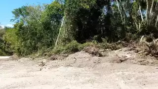 Destruyen parte de selva por nuevo camino de acceso a "El Chorro" en Juan Sarabia, Chetumal