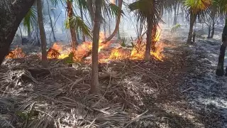 La zona del siniestro se encuentra acordonada por personal de Protección Civil