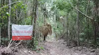 Ejidatarios alertaron sobre la construcción de "Cabañas Ecológicas"  (Abraham Cohuó)
