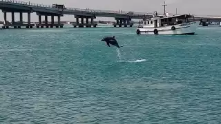 FOTO: Facebook Cristopher Garrido