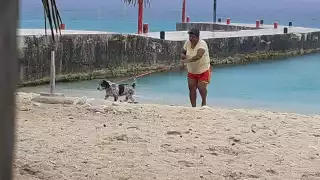 Vecinos acusan a jovencita que saca a pasear a sus perros y no levanta las heces fecales 

