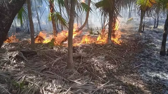La zona del siniestro se encuentra acordonada por personal de Protección Civil