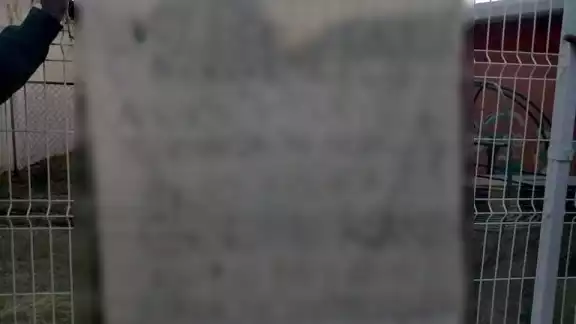 Los elementos policiacos de Chetumal resguardaron el mensaje, pero no lo entregaron a la FGE Quintana Roo Los elementos policiacos de Chetumal resguardaron el mensaje, pero no lo entregaron a la FGE Quintana Roo