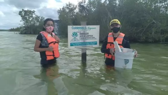 Las alumnas buscan rescatar el mangle y el carrizo Las alumnas buscan rescatar el mangle y el carrizo