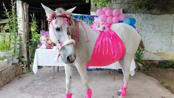 Entre globos, regalos y pastel, Camila celebró su baby shower y próximamente se sabrá el sexo del animalito Entre globos, regalos y pastel, Camila celebró su baby shower y próximamente se sabrá el sexo del animalito