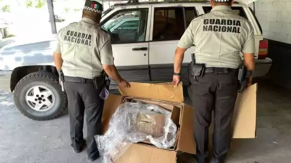 El conductor accedió, pero apenas detuvo su auto, salió corriendo a un área verde El conductor accedió, pero apenas detuvo su auto, salió corriendo a un área verde