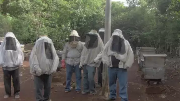 Los comerciantes municipales solicitaron al Gobierno agilizar los trámites para entrega de beneficios, como la azúcar, que sirve de alimento para las abejas