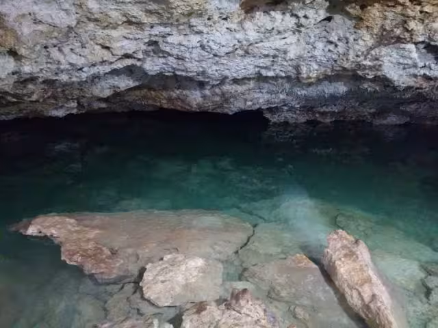 El cenote es de tipo caverna ubicado en Kopomá