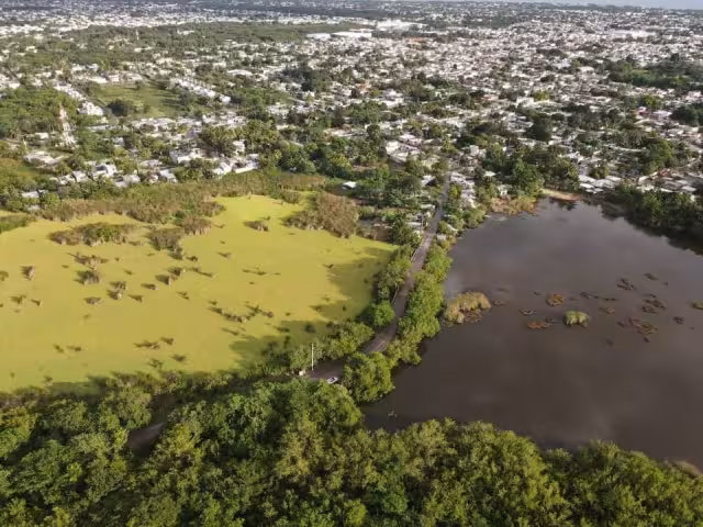 Desde el 2017 comenzaron a presentar una alta comunidad en "La Sabana"