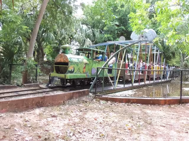 El trenecito del Centenario es el atractivo más buscado por propios y extraños