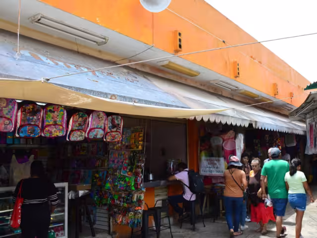 El mercado principal requiere un proyecto integral, una remodelación, al igual que los mercados periféricos, manifestó Moguel