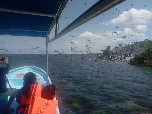 En la Reserva existen 333 especies de pájaros, de las cuales 177 son residentes