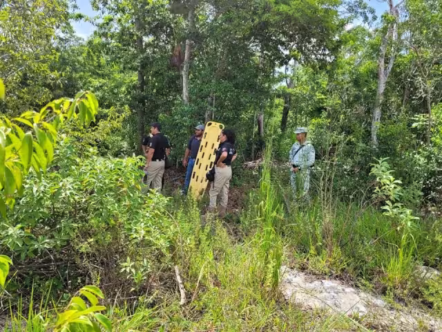 Localizan seis cuerpos en la Zona Costera de Tulum